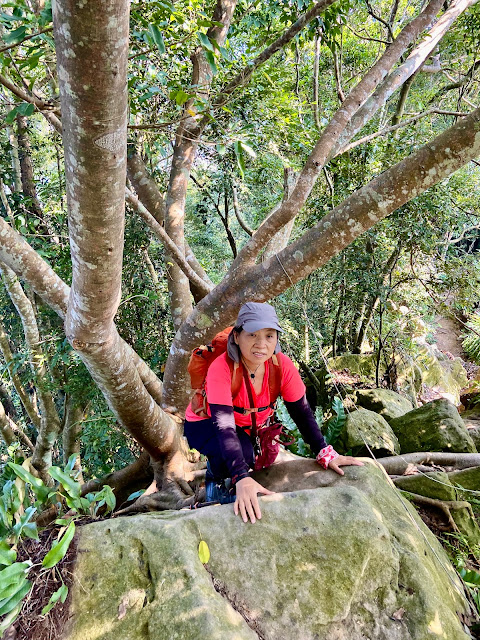 汶水山下山途中