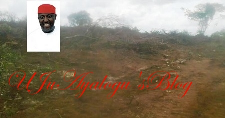 Euphoria as Imo Govt Clears 'Evil Forest' Serving as Home For Kidnappers and Other Criminals (Photo)