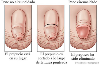 una mujer puede quedar embarazada 10 dias antes dela menstruacion