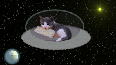 kitten in a flying saucer in space