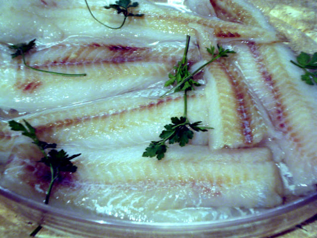 fish fillets cooked in microwave oven