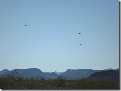 DSCF2161