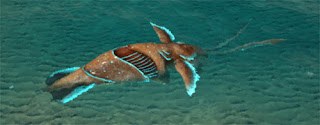 squid from playatlas