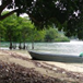 View album