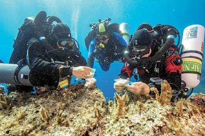 Νέες εκπλήξεις από το ναυάγιο των Αντικυθήρων