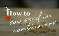 How to sow seeds