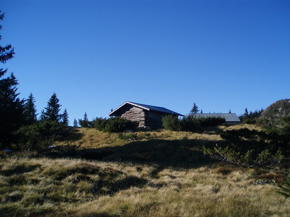 Domfet 019