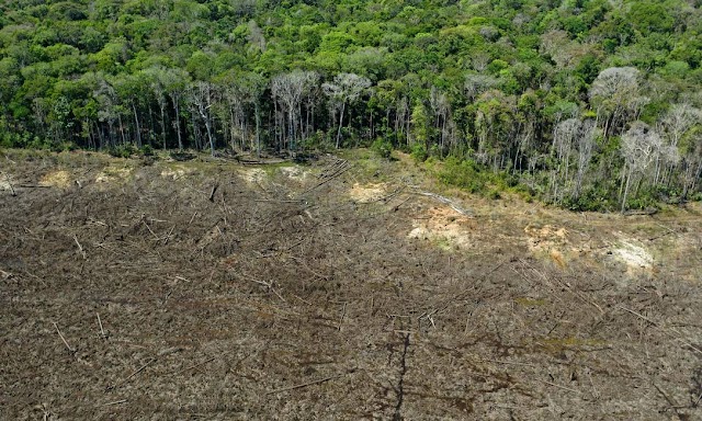 Desmatamento na Amazônia tem pior mês de março dos últimos dez anos