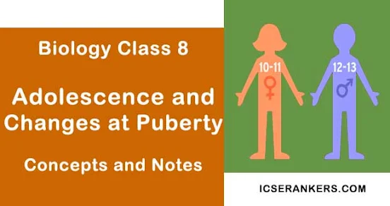 Adolescence and Changes at Puberty- Class 8 Science Guide