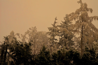 Winter, mùa đông, tél, dimër, zima, зима, 冬季, talv, talvi, hiver, χειμώνας, inverno, ウィンター, ziema, žiema, iarnă, зима, vinter, zimné, invierno, zimní, kış, tél, 