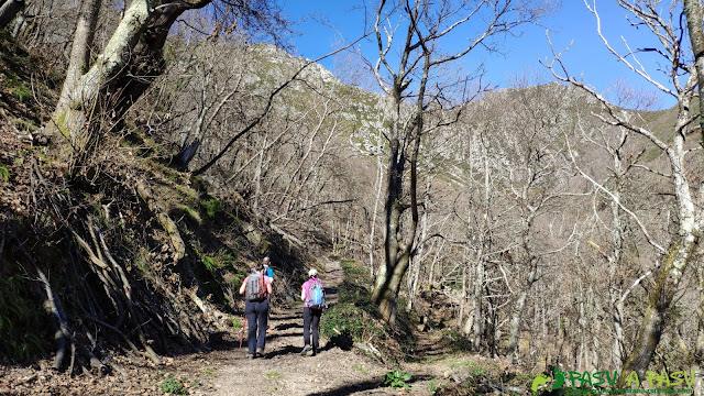 Sendero entre el bosque en Robledo, Somiedo