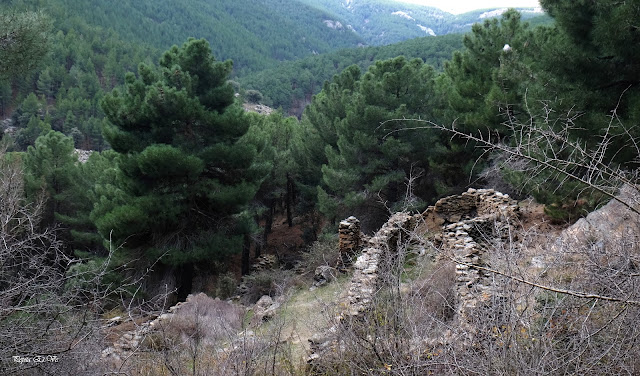 Fuentezuelas, Jérez del Marquesado