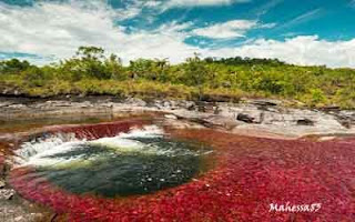 Cano Cristales Sungai Maha Indah Di Dunia