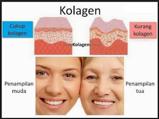 bahaya kekurangan collagen