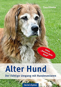 Alter Hund: Der richtige Umgang mit Hundesenioren