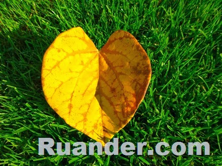 Fall Color 6 Ruander