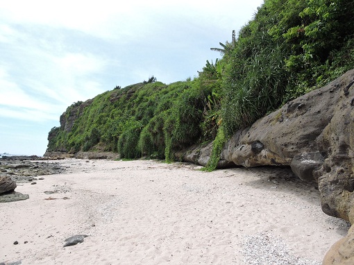 Lý Sơn chuyển mình - Hình 3