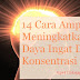 14 Cara Ampuh Meningkatkan Daya Ingat Dan Konsentrasi