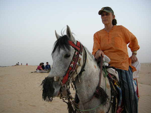 Riding Oumar's Stallion