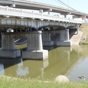 turtles bridge river architecture