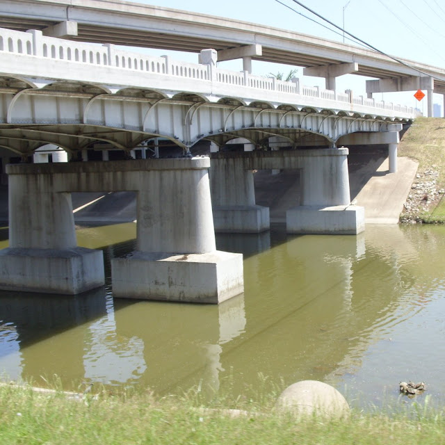 turtles bridge river architecture