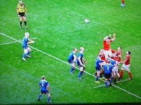 tracy lineout 