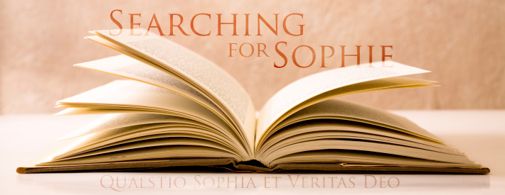 Searching for Sophie