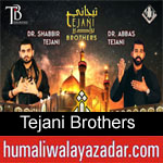 https://www.humaliwalayazadar.com/2013/06/shabbir-and-abbas-tejani-nohay-2007-2013.html