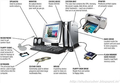 Input & Output Device