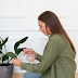 Bringing the Outdoors In: A Guide to Indoor Plant Decor