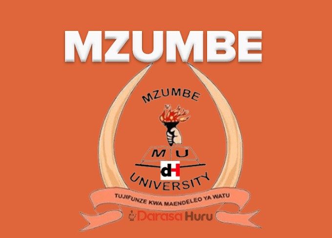 Mzumbe Masters Academic Programmes Offered 2024/2025