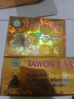 Tawon Liar Asli