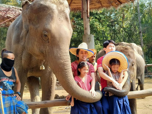 mae rim elephant home, maerim elephant home, mae rim elephant camp, maerim elephant camp, maerim elephant chiang mai, mae rim elephant chiang mai