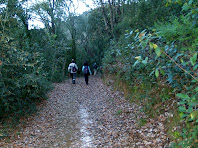 Caminant per l'obaga de la Serra del Terme Gros