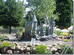 IMGP2972
