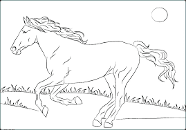 Images Of Wild Horse Running At Grass Land Coloring Pages