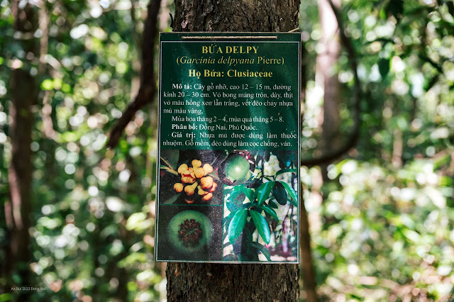Trải nghiệm khám phá rừng nguyên sinh Mã Đà với hệ động thực vật phong phú
