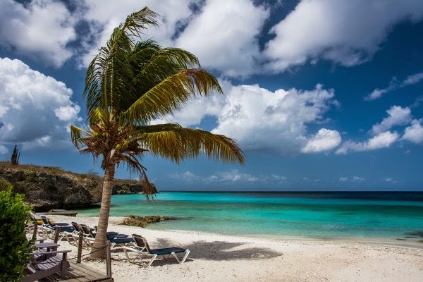 strand med palmetrær Las Palmas