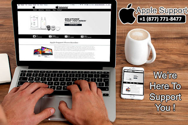 mac support phone number usa