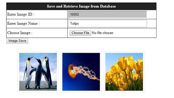 Save and Retrieve Image from Database