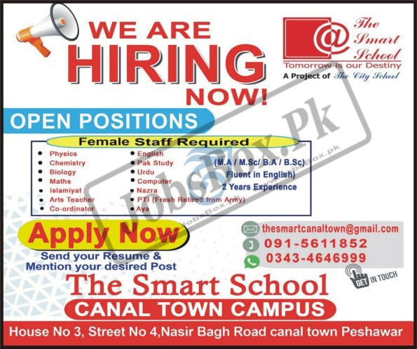 The Smart School Jobs 2022 in Pakistan - thesmartcanaltown@gmail.com Jobs 2022