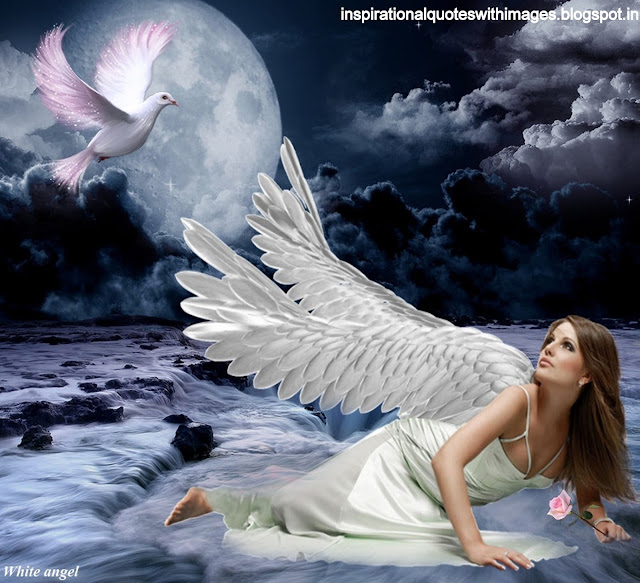 lovely angel images