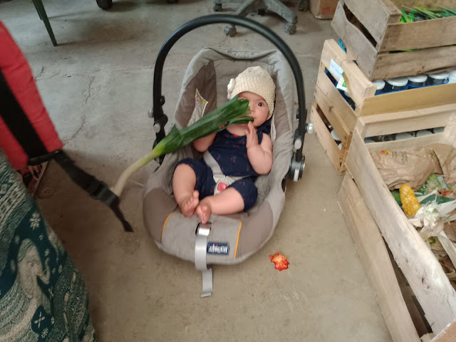 Baby eating a raw leek, France. Photo by Loire Valley Time Travel.