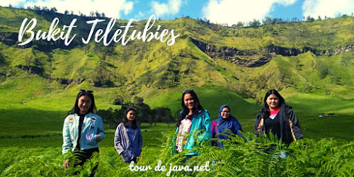 sewa jeep bromo menuju bukit teletubies