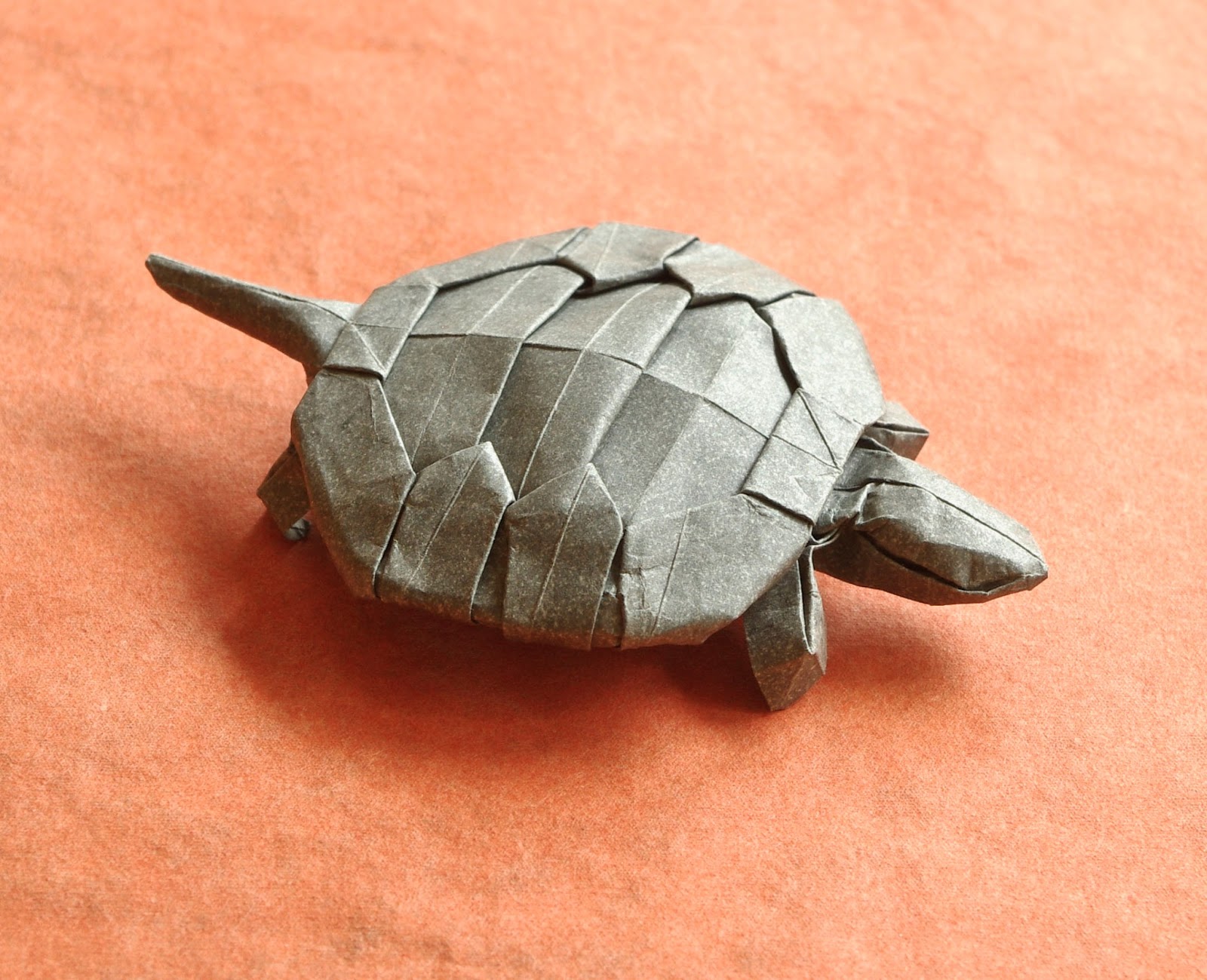 Image of a money turtle