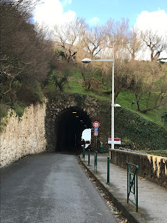 Tunel al Museo del Mar, Aquarium