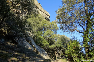 Els cingles de Vilanova i el puig del Far