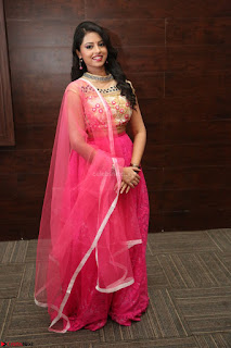 Geethanjali sizzles in Pink at Mixture Potlam Movie Audio Launch 038.JPG