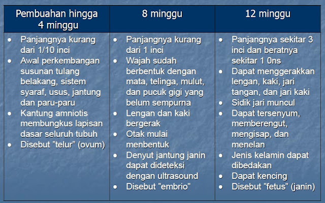 Pembuahan terjadi bila sel telur bertemu sperma dan masuk melalui dinding telur Info Kehamilan