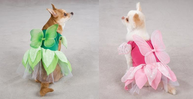 Dog Fairy Costume1